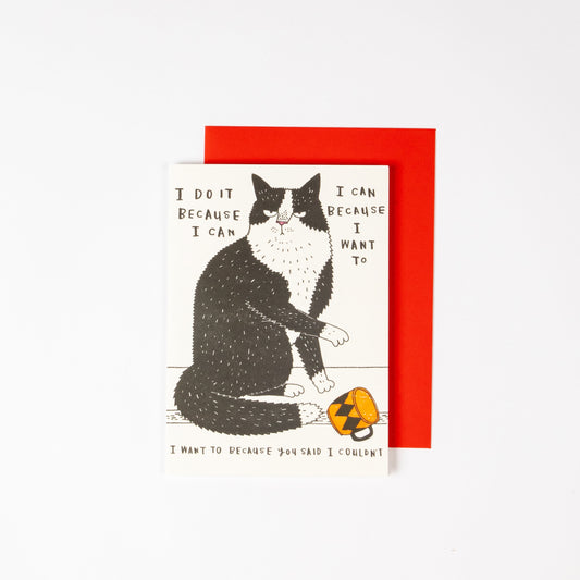 I DO IT BECAUSE I CAN GREETING CARD