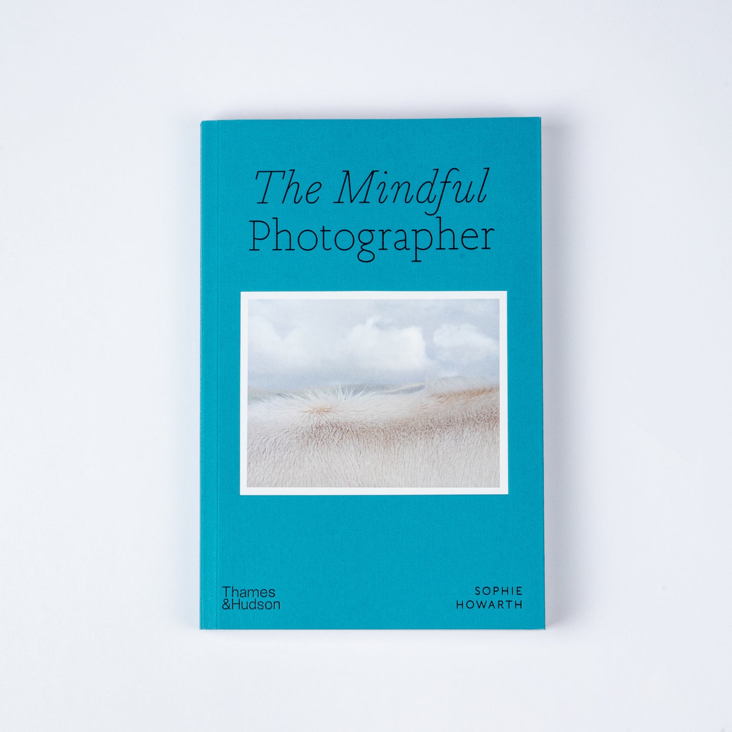 THE MINDFUL PHOTOGRAPHER