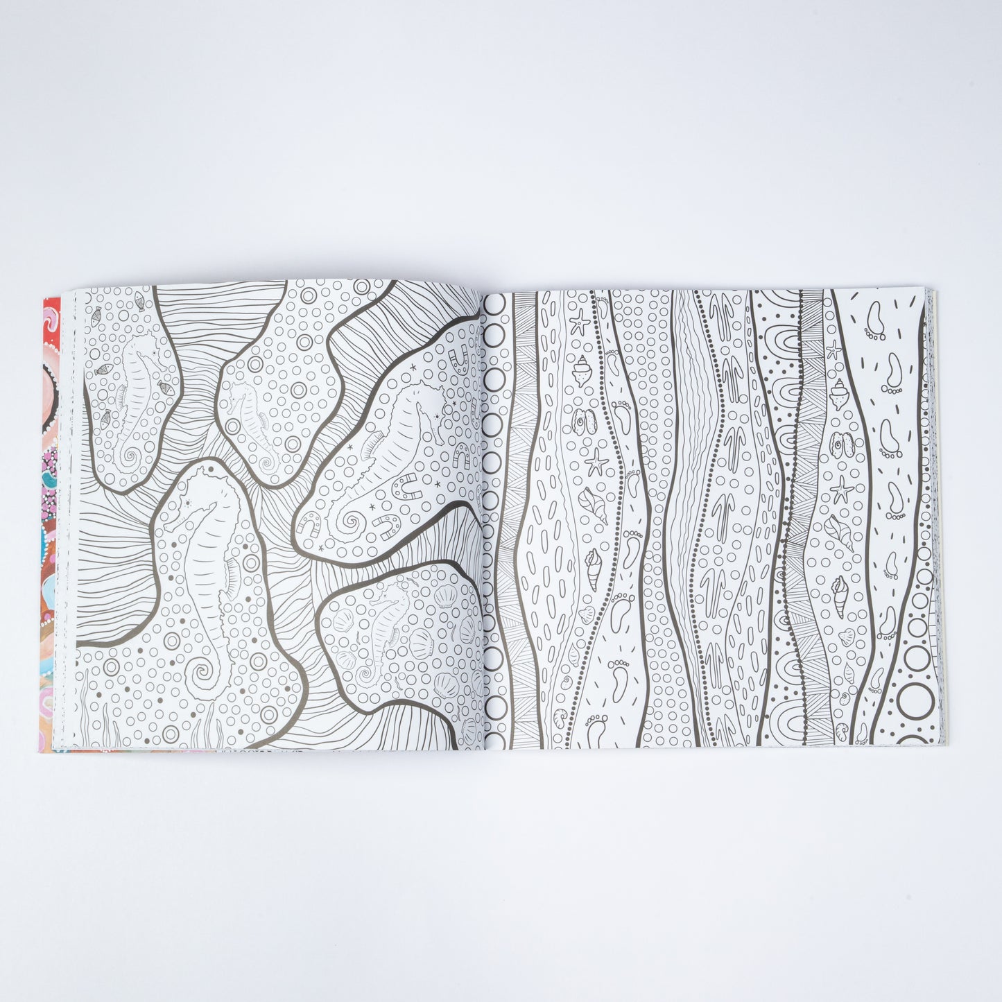 MULGANAI: A FIRST NATIONS COLOURING BOOK