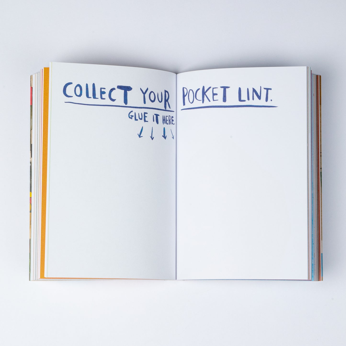 WRECK THIS JOURNAL: NOW IN COLOUR