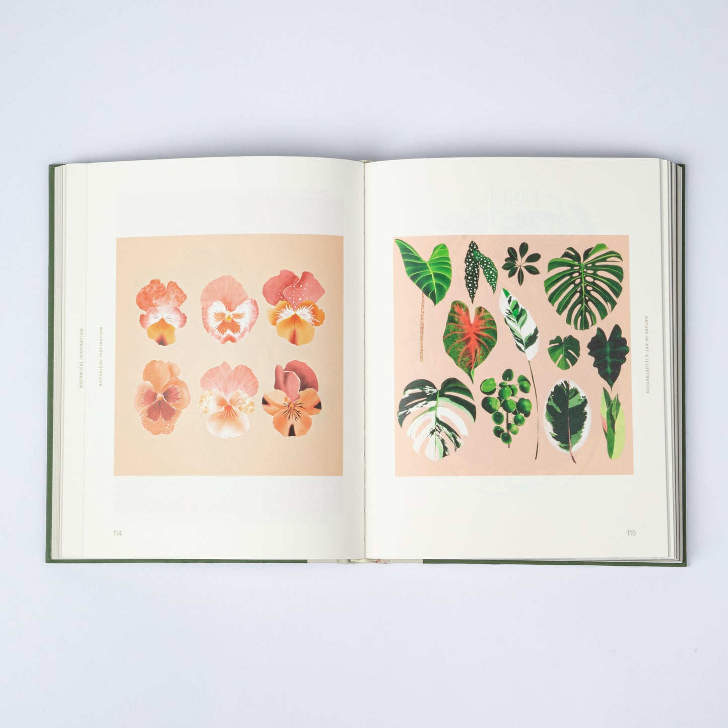 BOTANICAL INSPIRATION