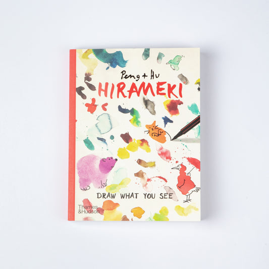 HIRAMEKI: DRAW WHAT YOU SEE