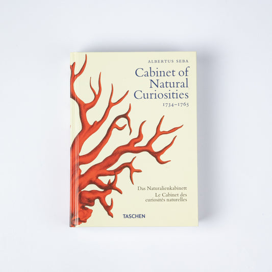 CABINET OF NATURAL CURIOSITIES