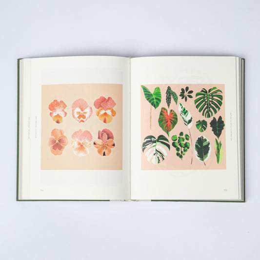 BOTANICAL INSPIRATION