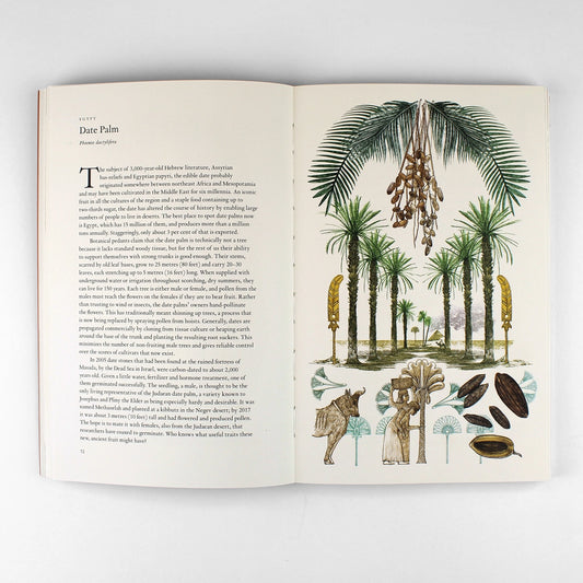 AROUND THE WORLD IN 80 TREES