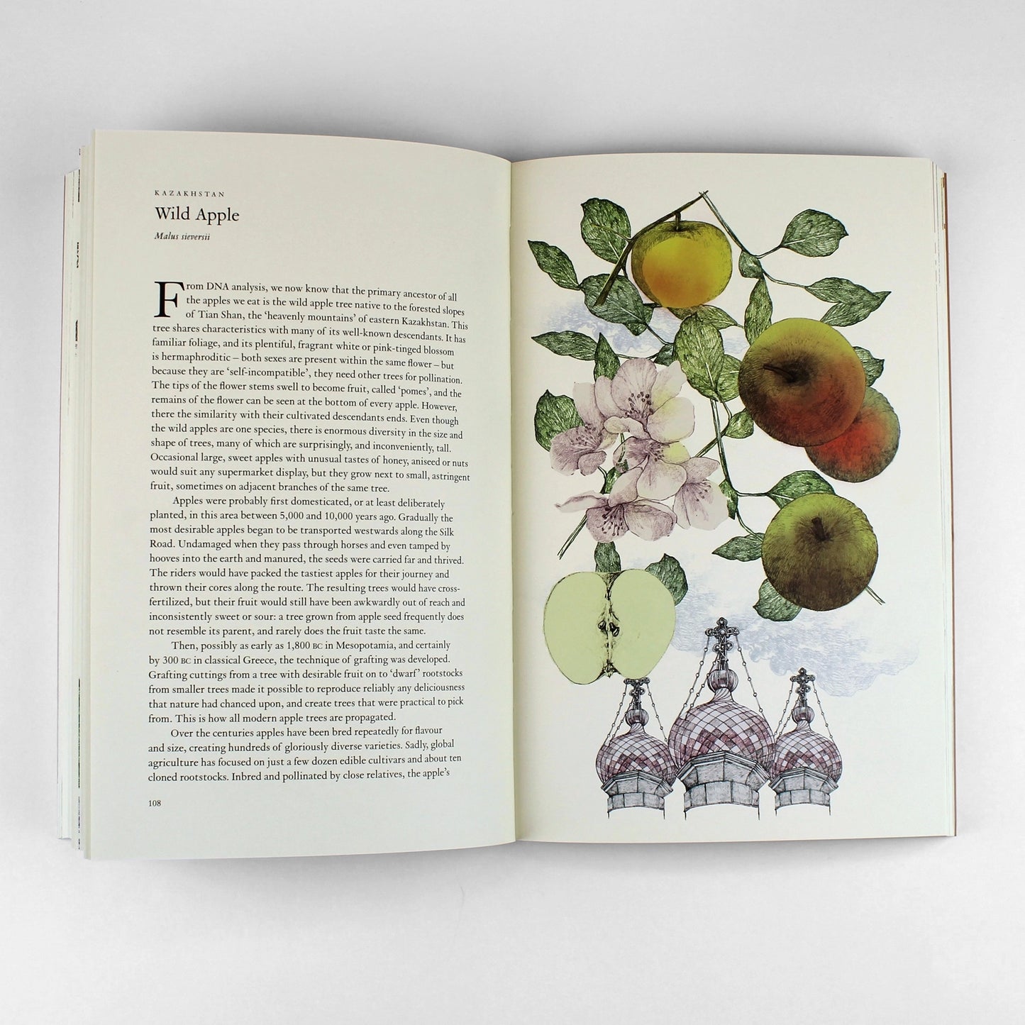 AROUND THE WORLD IN 80 TREES