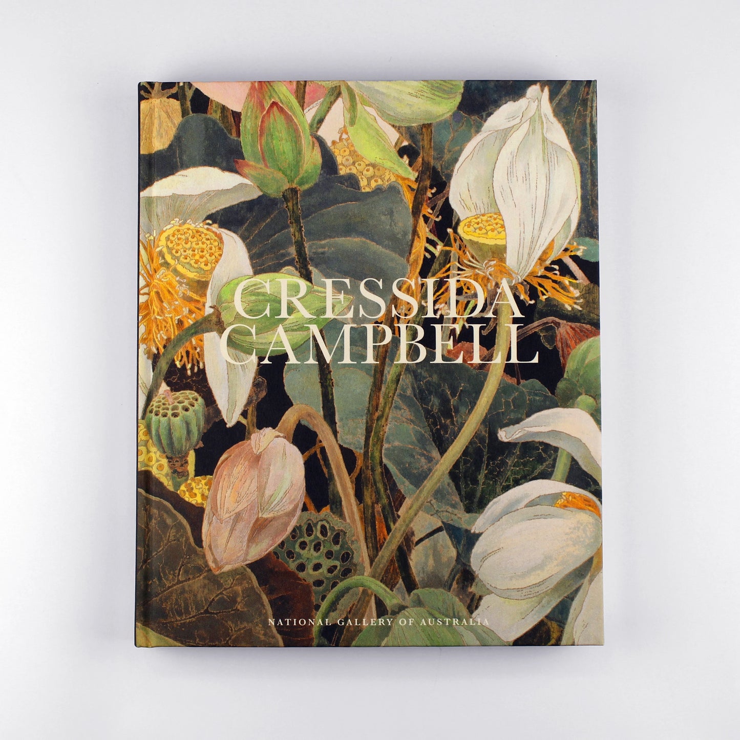 CRESSIDA CAMPBELL